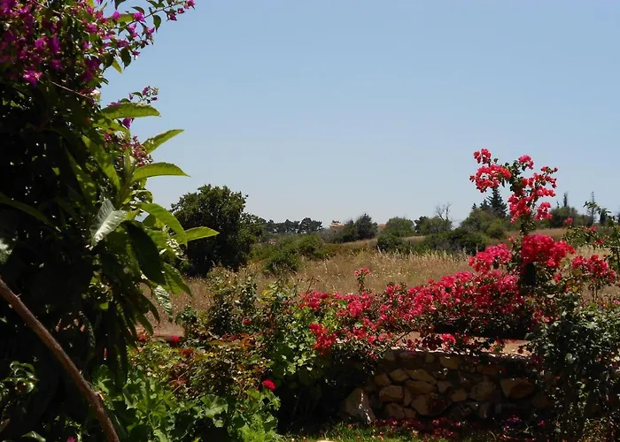Livadaki Village 3* Skala (Kefalonia)