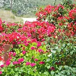 Livadaki Village ホテル Skala (Kefalonia)