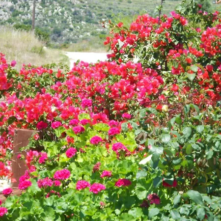 Livadaki Village Отель Skala (Kefalonia)