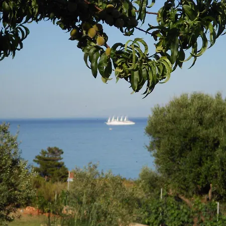 Livadaki Village فندق Skala (Kefalonia)