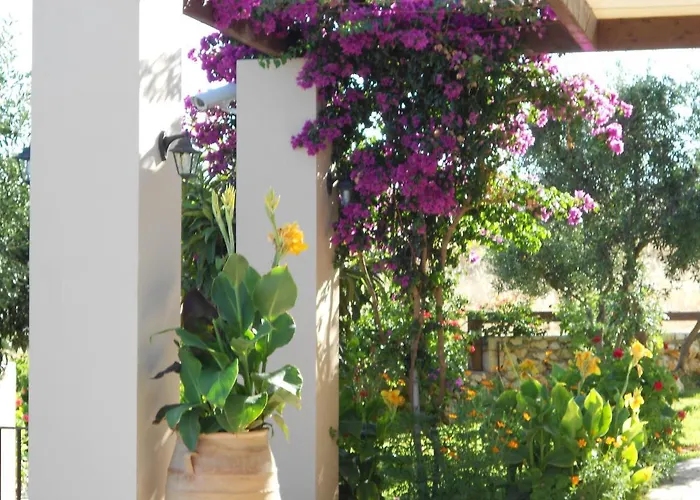 Livadaki Village Skala (Kefalonia)