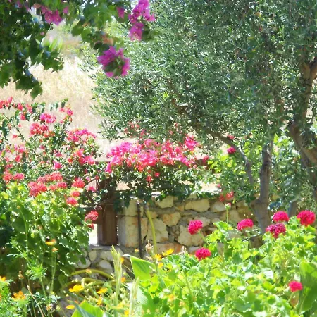 Отель Livadaki Village Skala (Kefalonia)