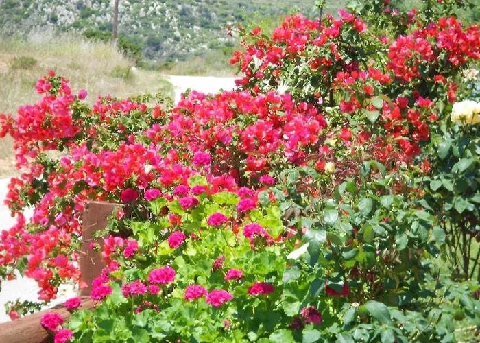 Livadaki Village Otel Skala (Kefalonia)